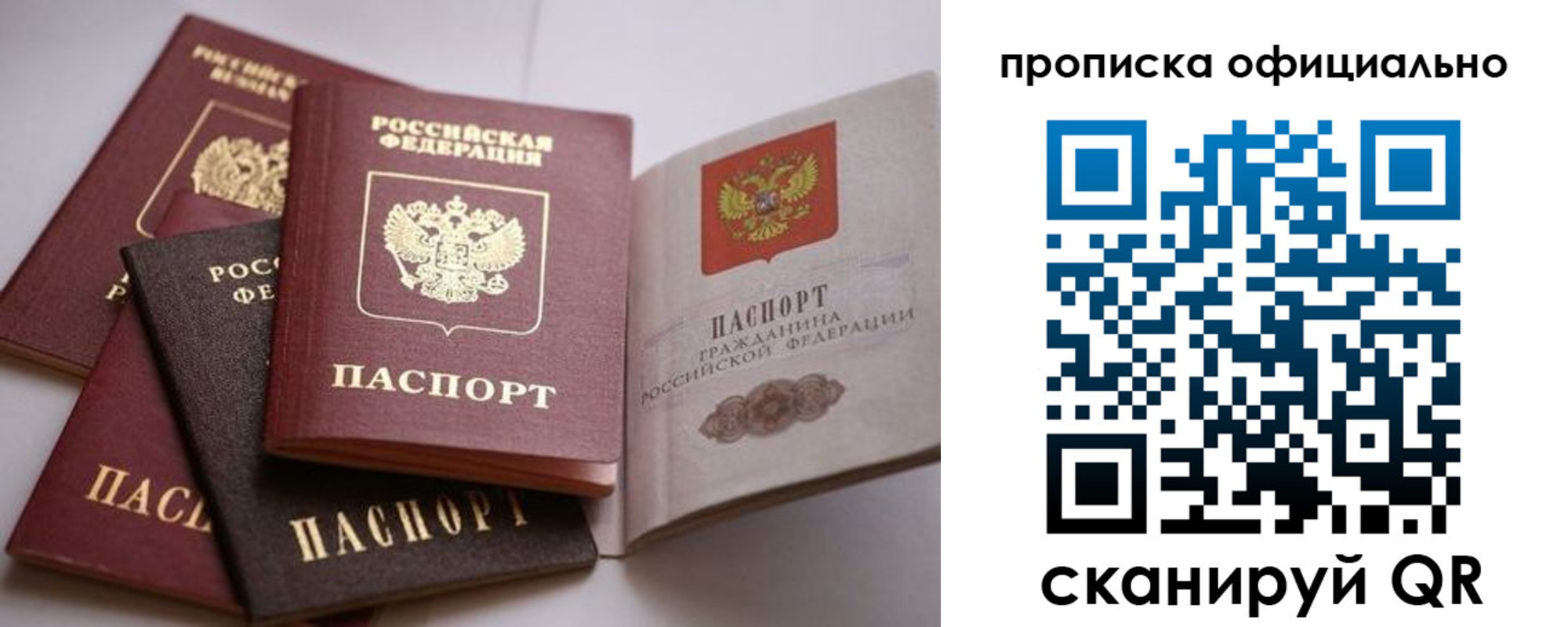 временная регистрация поиск в Александрове